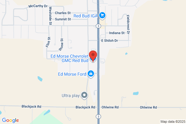 Birke Ed Motor Co