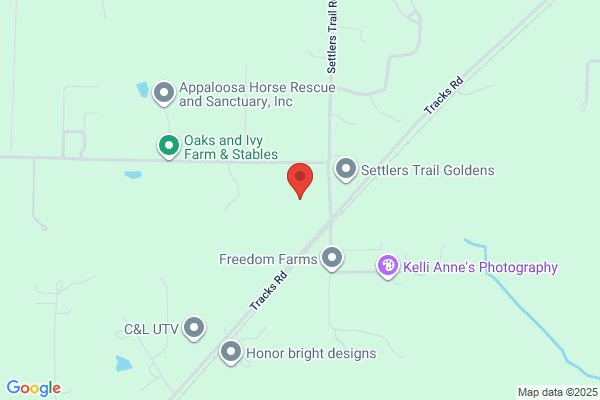 Webster County of, Clerk
