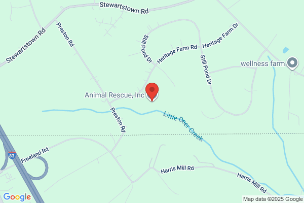 Susquehanna Stray Amimal Shelter