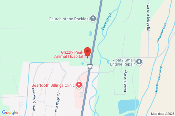 Grizzly Peak Animal Hospital