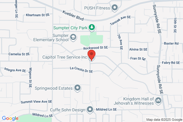 Capitol Tree Service