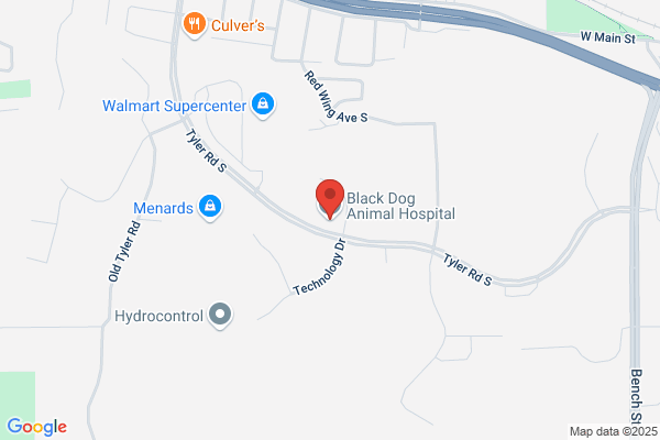 Black Dog Animal Hospital