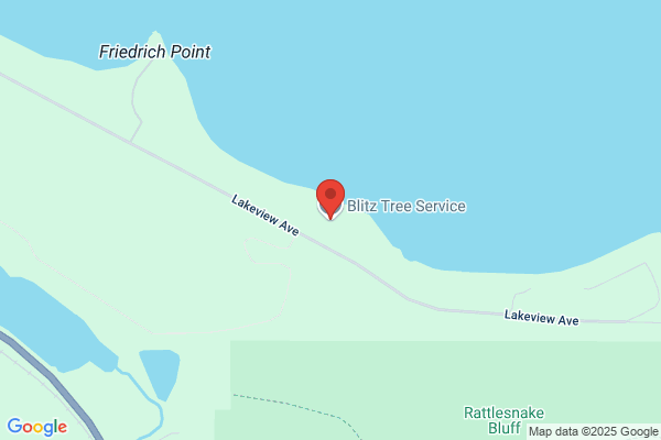 Blitz Tree Service