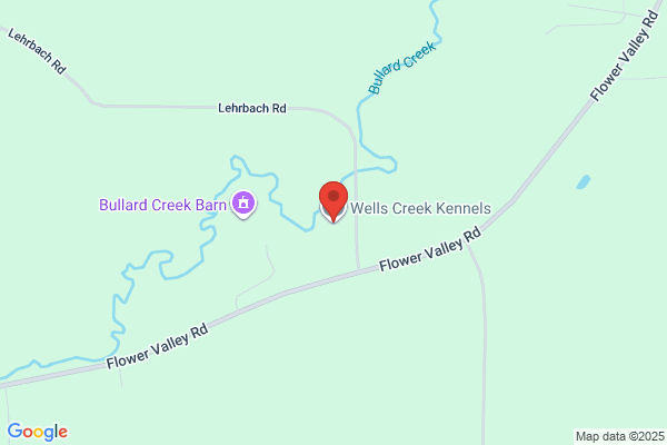 Wells Creek Boarding Kennels