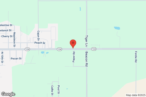 Tricia's Auto Parts & Tire Center