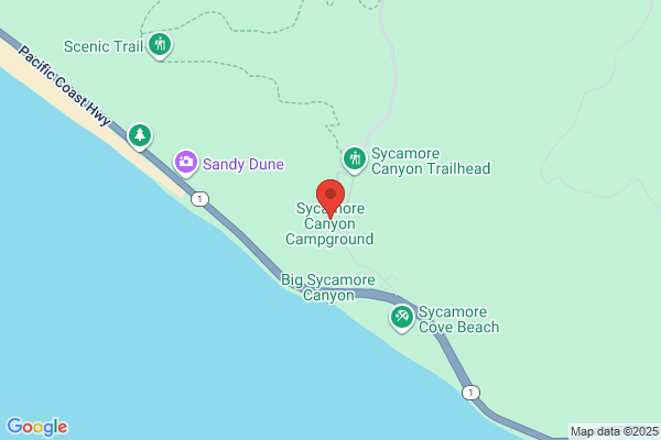 Sycamore Camping