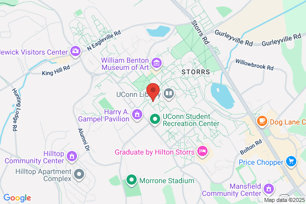 Information Technology Management