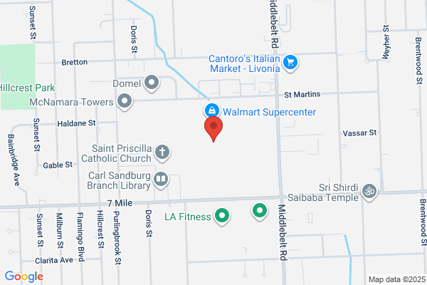Livonia Mini Market
