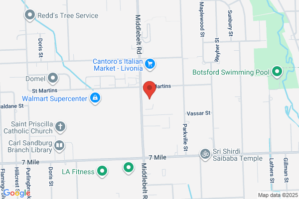 Family Legal Service of Mich Inc
