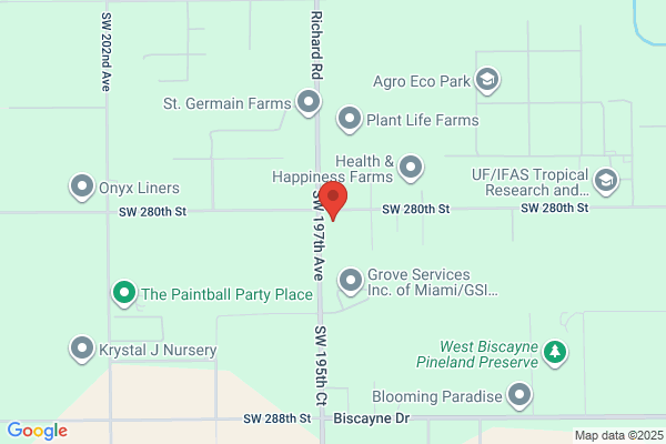 Bromeliad Specialties
