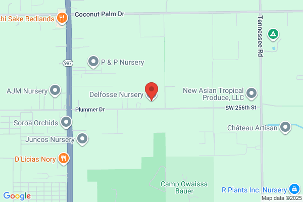 Delfosse Nursery