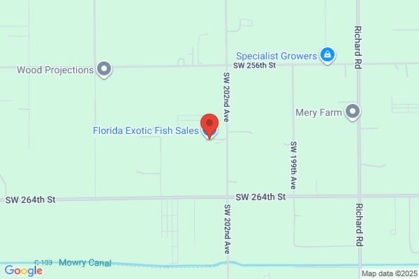 Florida Exotic Fish Sales