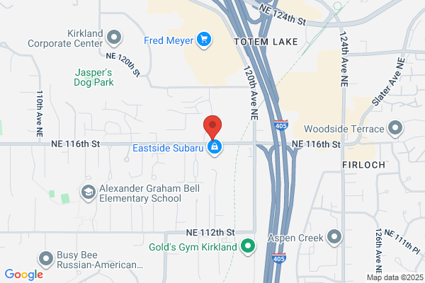 Johnson Electric Inc