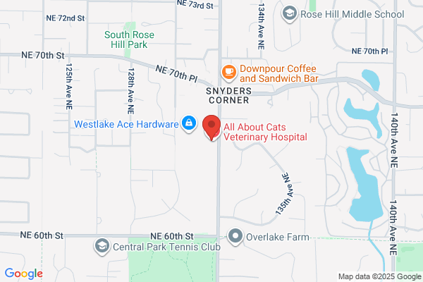 Bridle Trails Family Dentistry
