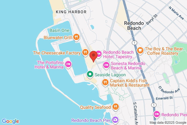Marina Bike Rentals