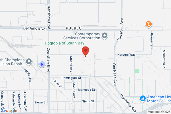 Napolex America Inc