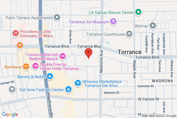 Torrance Academy Inc