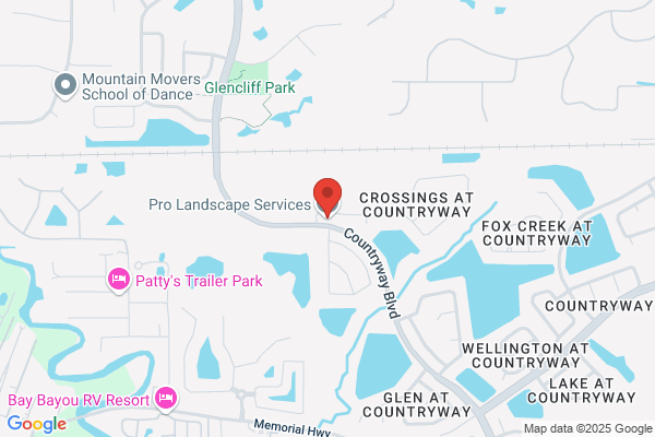 Professional Landscape Maintenance Company