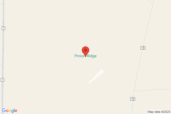 Pinon Ridge Construction