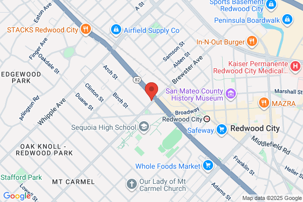 Rubicor Medical Inc