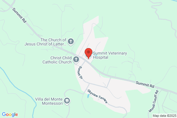 Summit Veterinary Hospital & Kennels