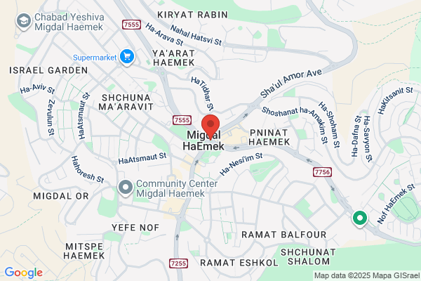 Kol Haemek