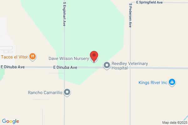 Dave Wilson Nursery
