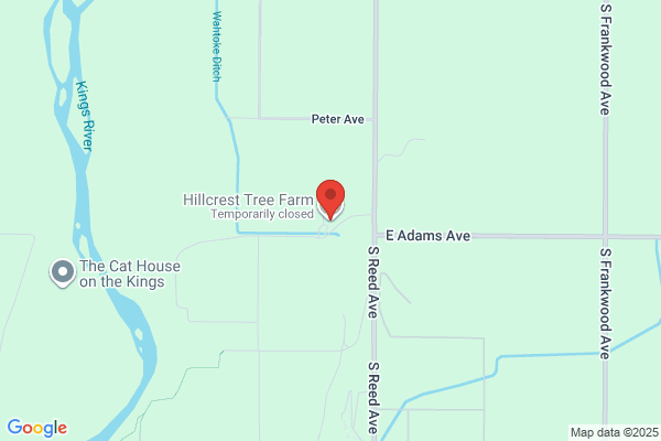 Hillcrest Christmas Tree & Pumpkin Farm