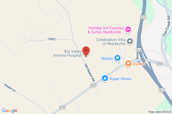 Big Valley Animal Hospital