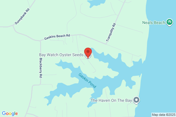 Bay Watch Oyster Seeds, LLC