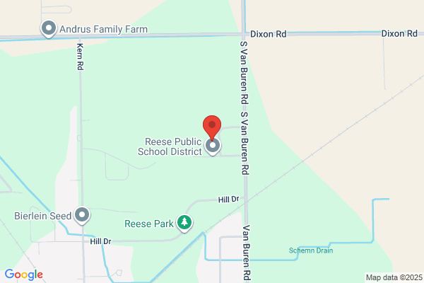 Reese Public Schools, High School
