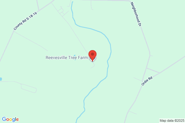 Reevesville Tree Farm