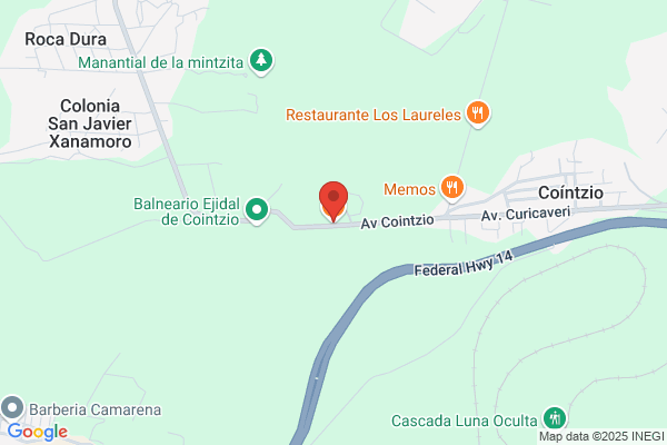 Rincon Montane Restaurant Inc