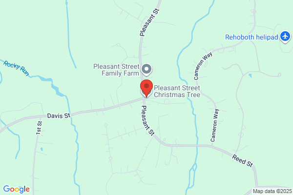 Pleasant Street Christmas Tree Farm