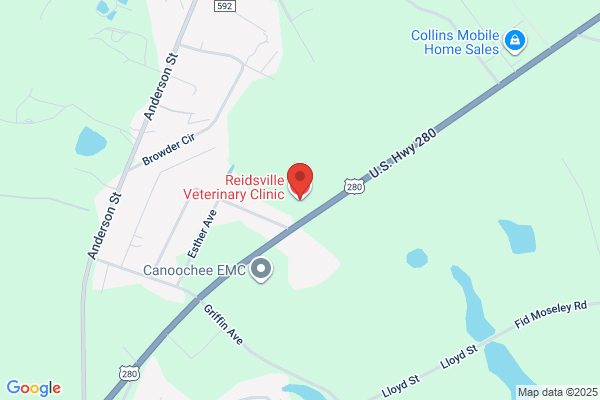 Reidsville Veterinary Clinic