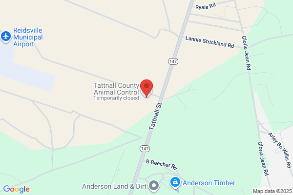 Tattnall Co Animal Control