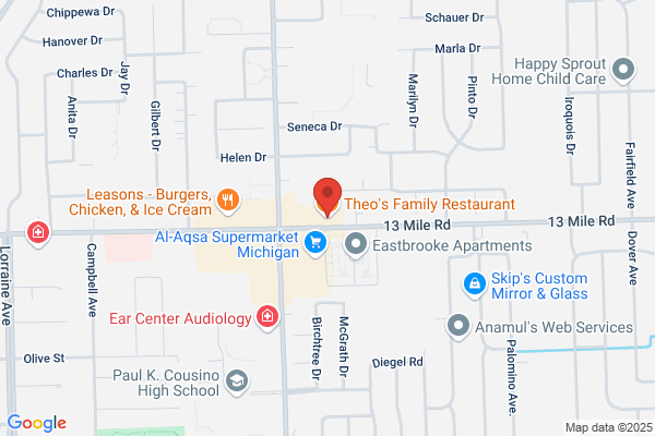 Theo's Family Restaurant