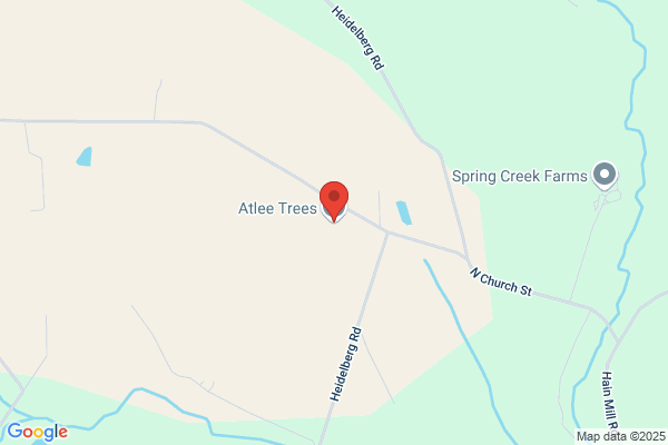 Atlee Trees