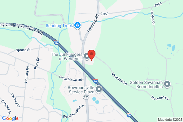 Green Lawn Mowing
