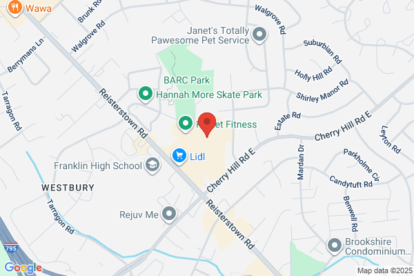 Discount Movers & Storage