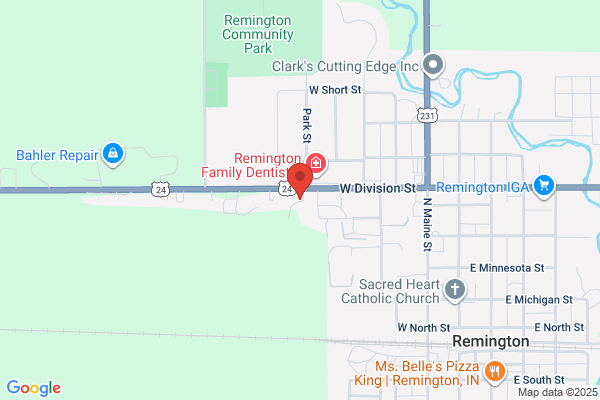 Remington Auto Parts