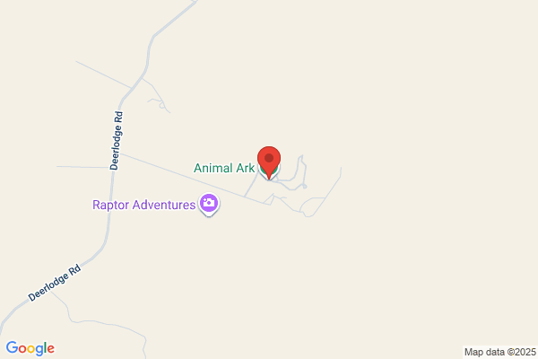 Animal Attic