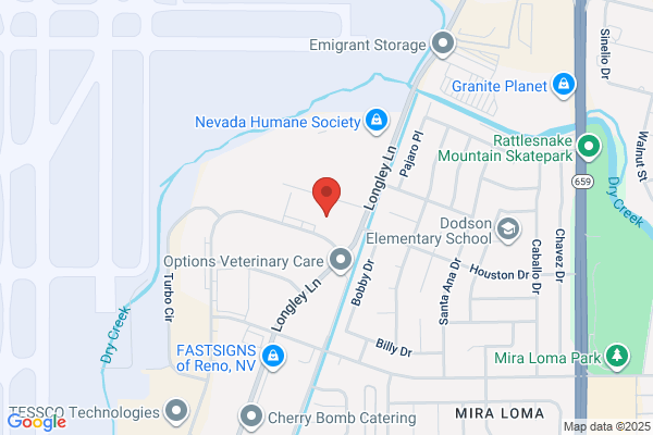 Truckee Meadows Electric Inc.