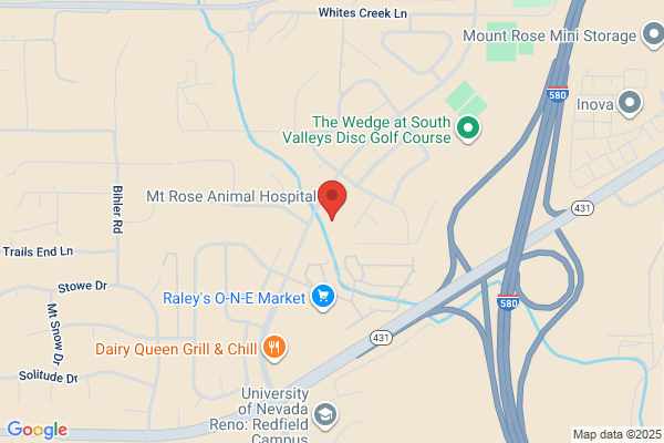 Mount Rose Pediatric Dentistry
