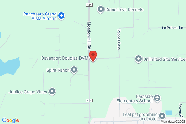 Davenport Wm DVM
