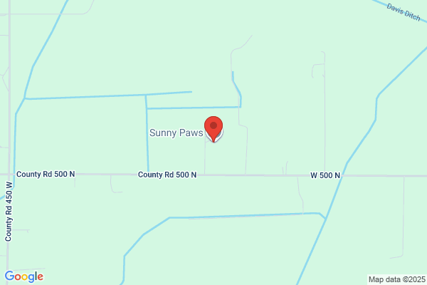 Sonjas Karing Kennels