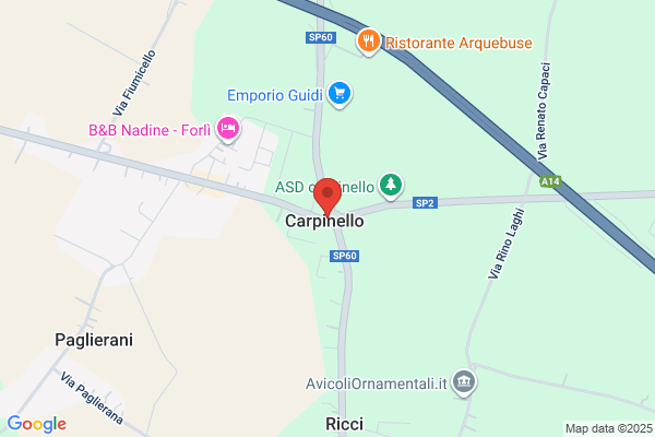 Carpinello Ice Co