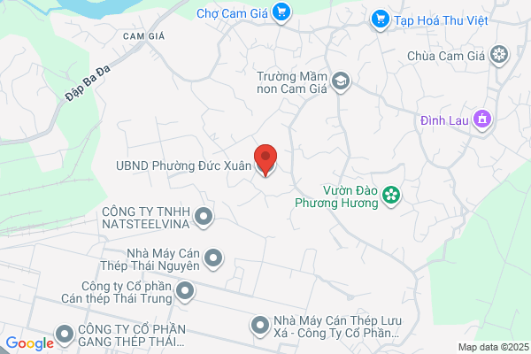 Tien V. Nguyen, M.D.