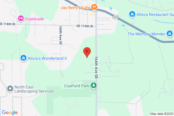 Bostik Findley Inc