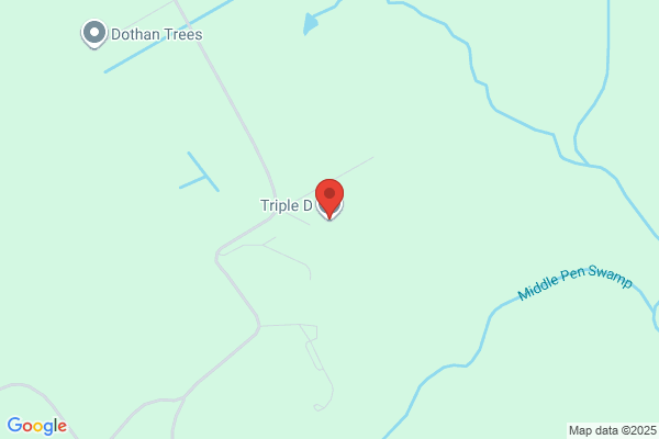 Triple D Inc